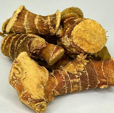 High-quality Alpinia officinarum