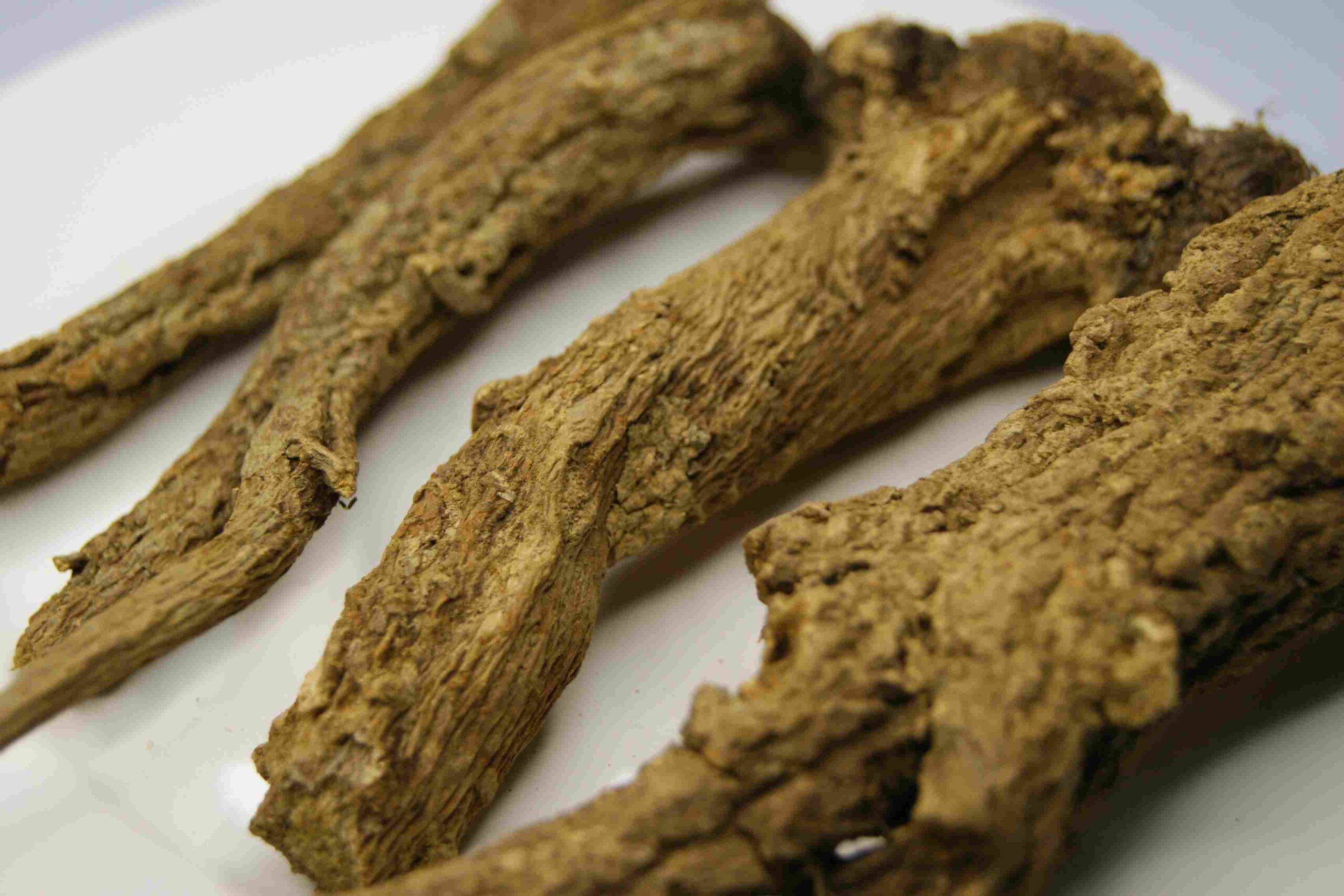 High-quality Costus root
