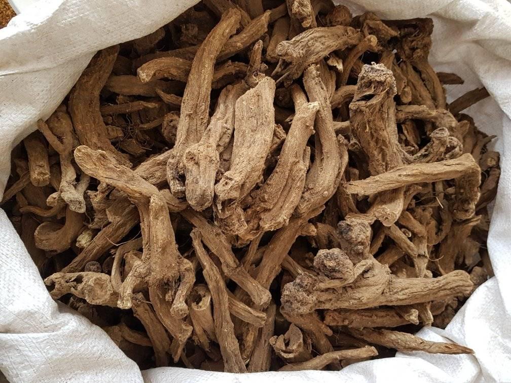 Creative Ways to Use Costus Root Creative Ways to Use Costus Root