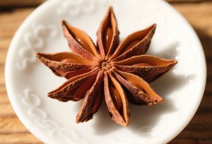 Discovering Illicium Verum A Remarkable Spice and Healing Plant Worth Your Attention