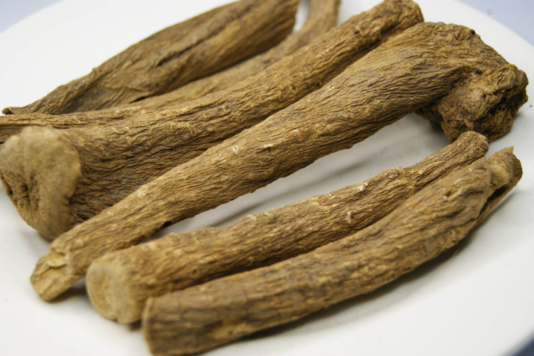 INULA L. (Pushkaramoola)