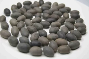 A Complete Guide to Stone Lotus Seeds