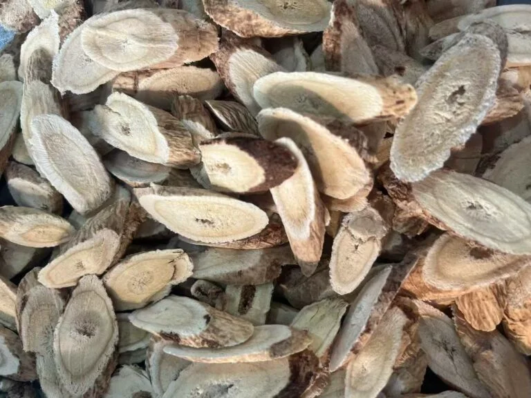 Astragalus Root A Natural Boost for Immunity and Health