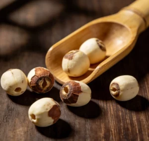 traditional Chinese medicine Lotus Seed