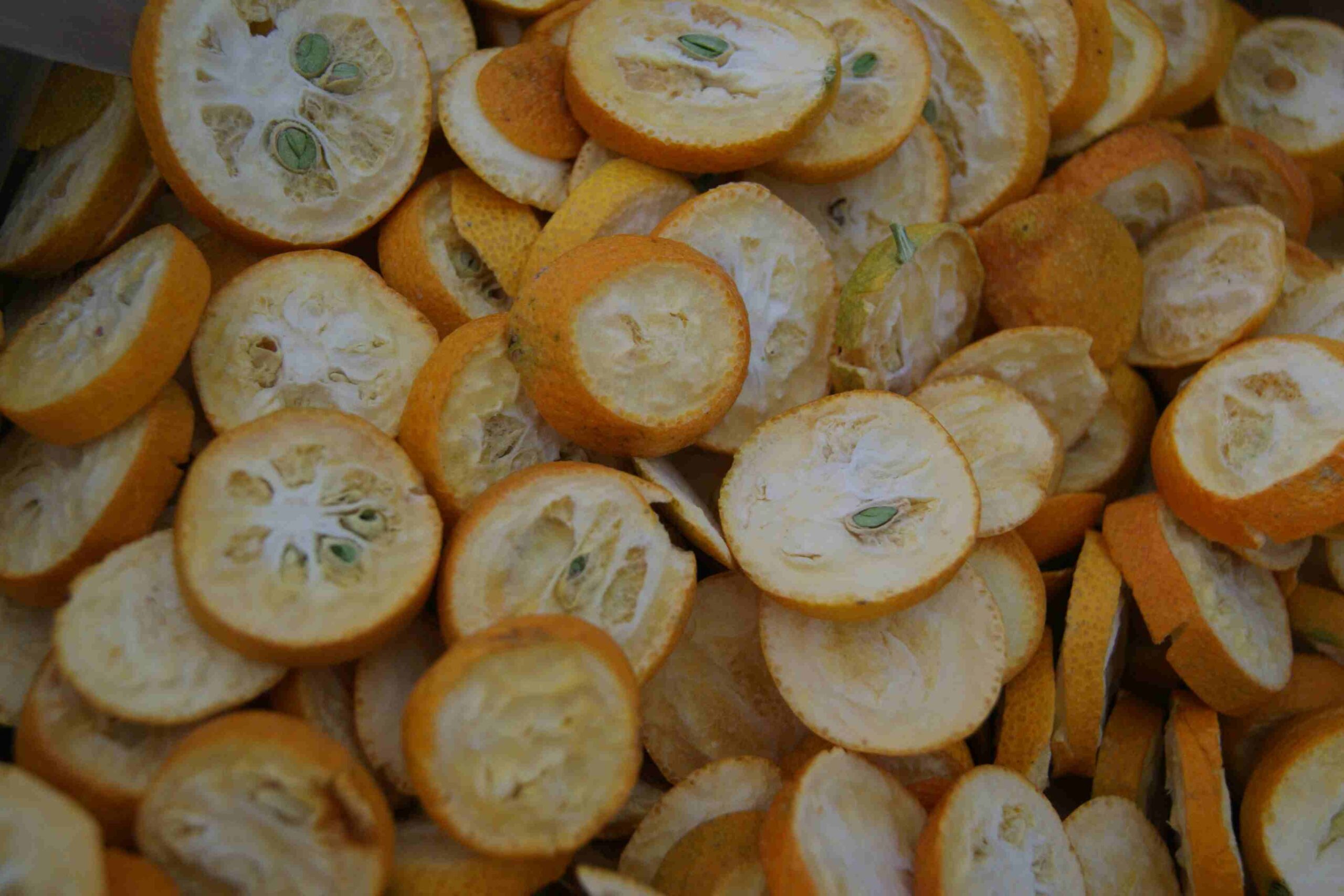 Freeze-Dried Kumquats