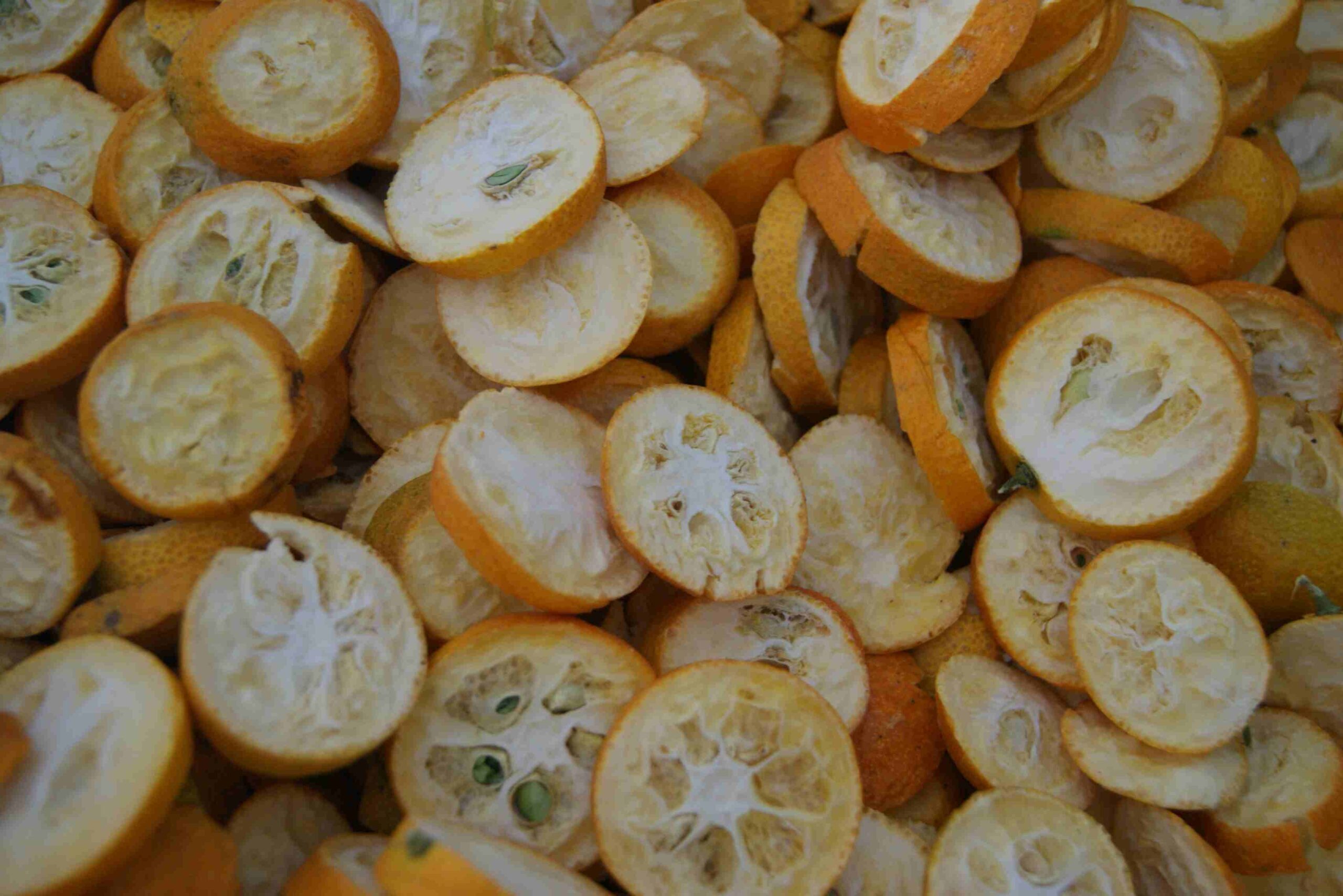 Freeze-Dried Kumquats