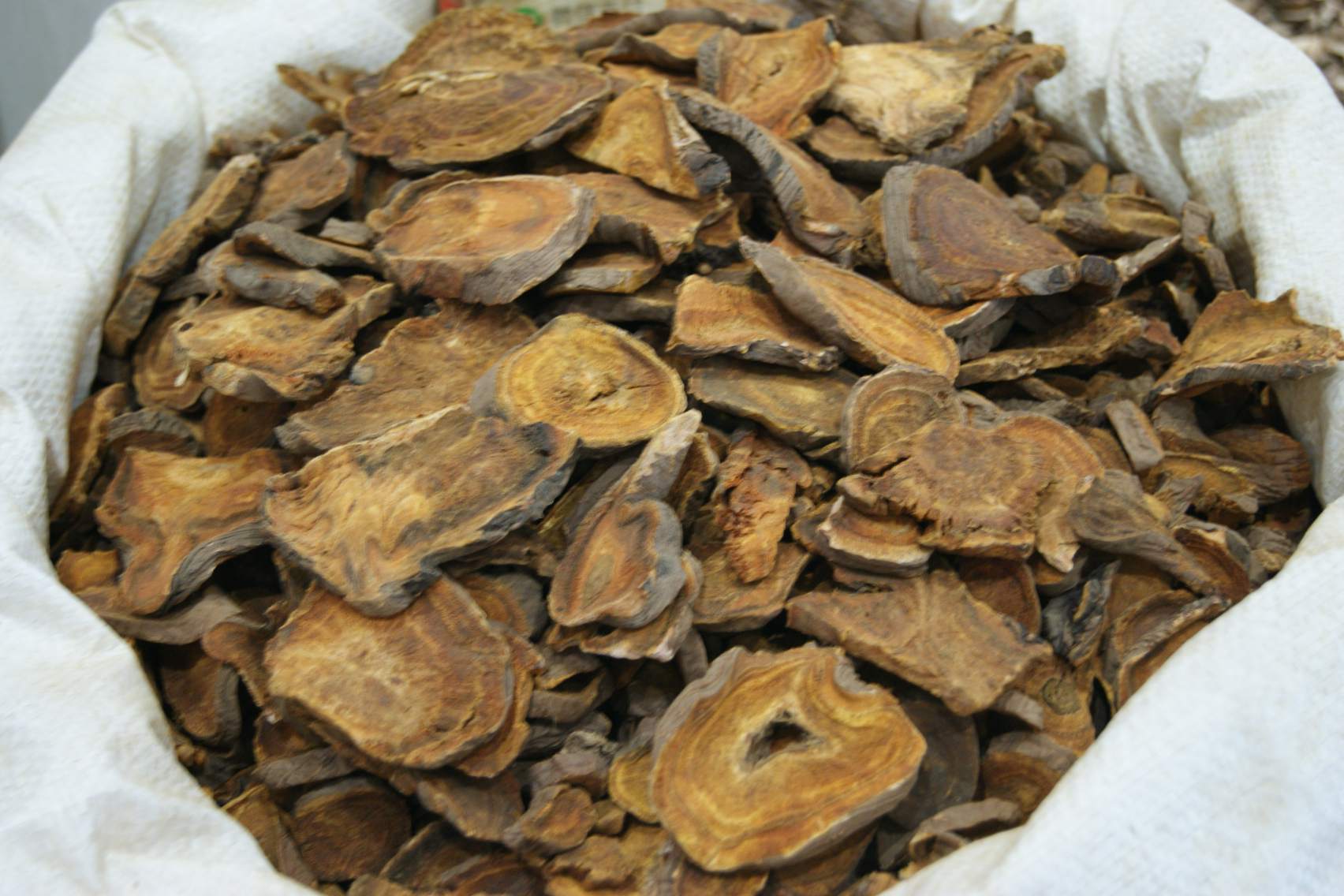 Atractylodes rhizome