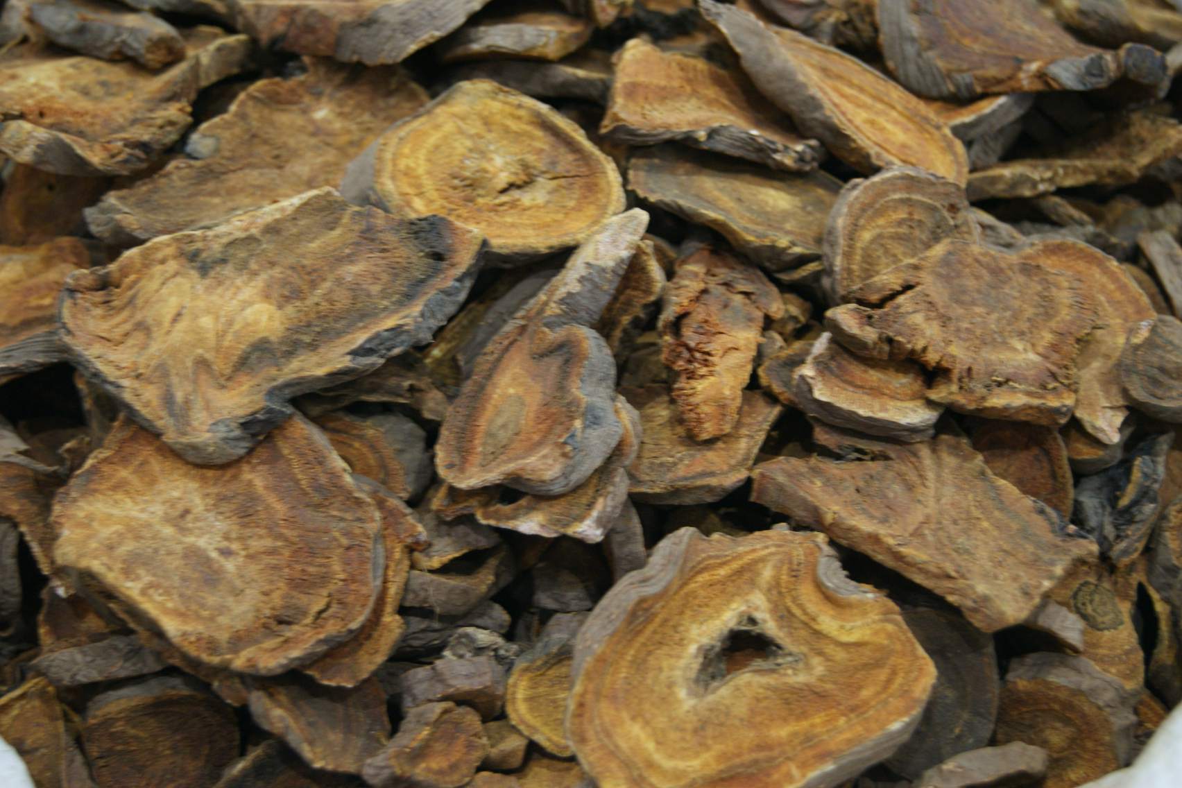 Atractylodes rhizome