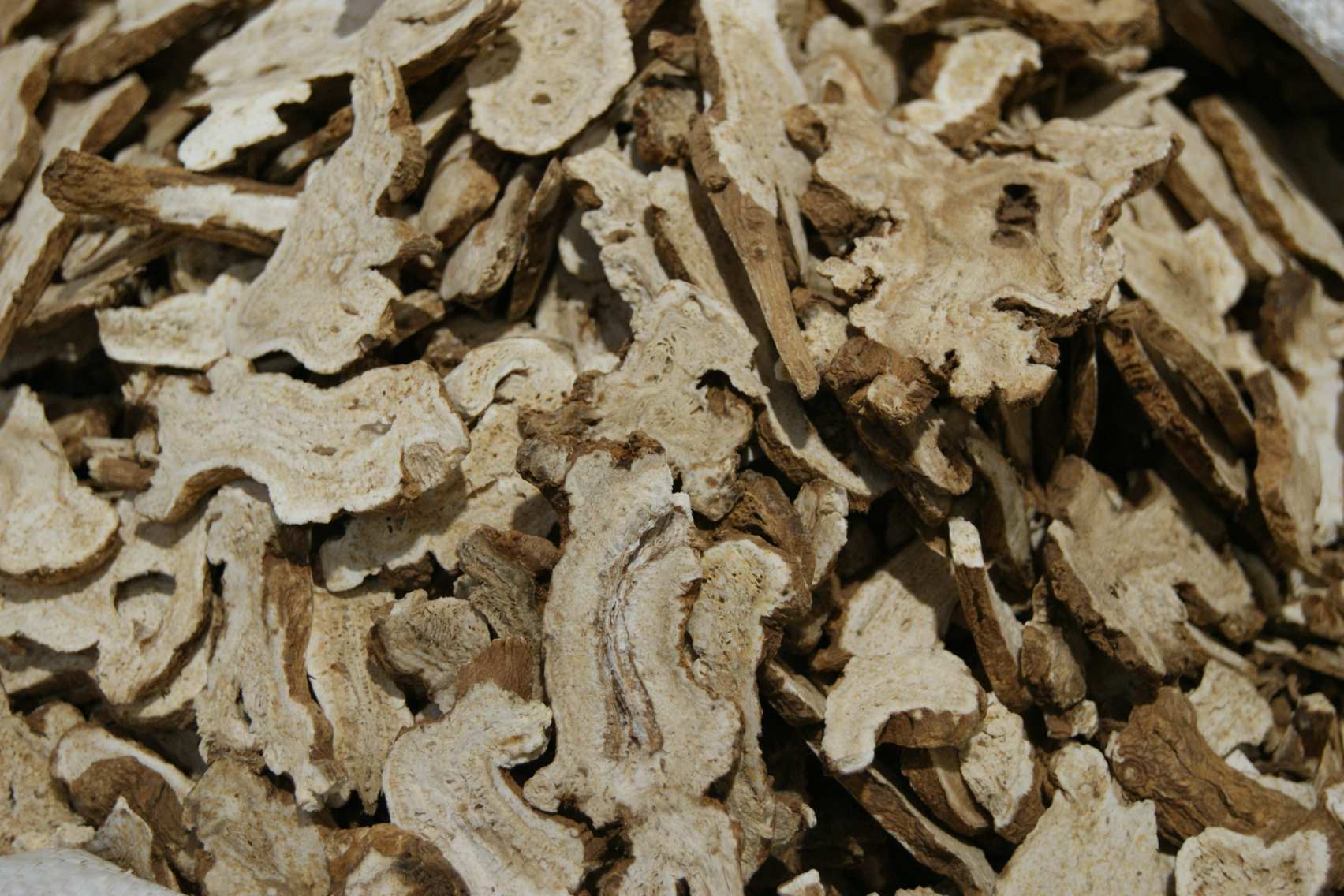 Atractylodes rhizome
