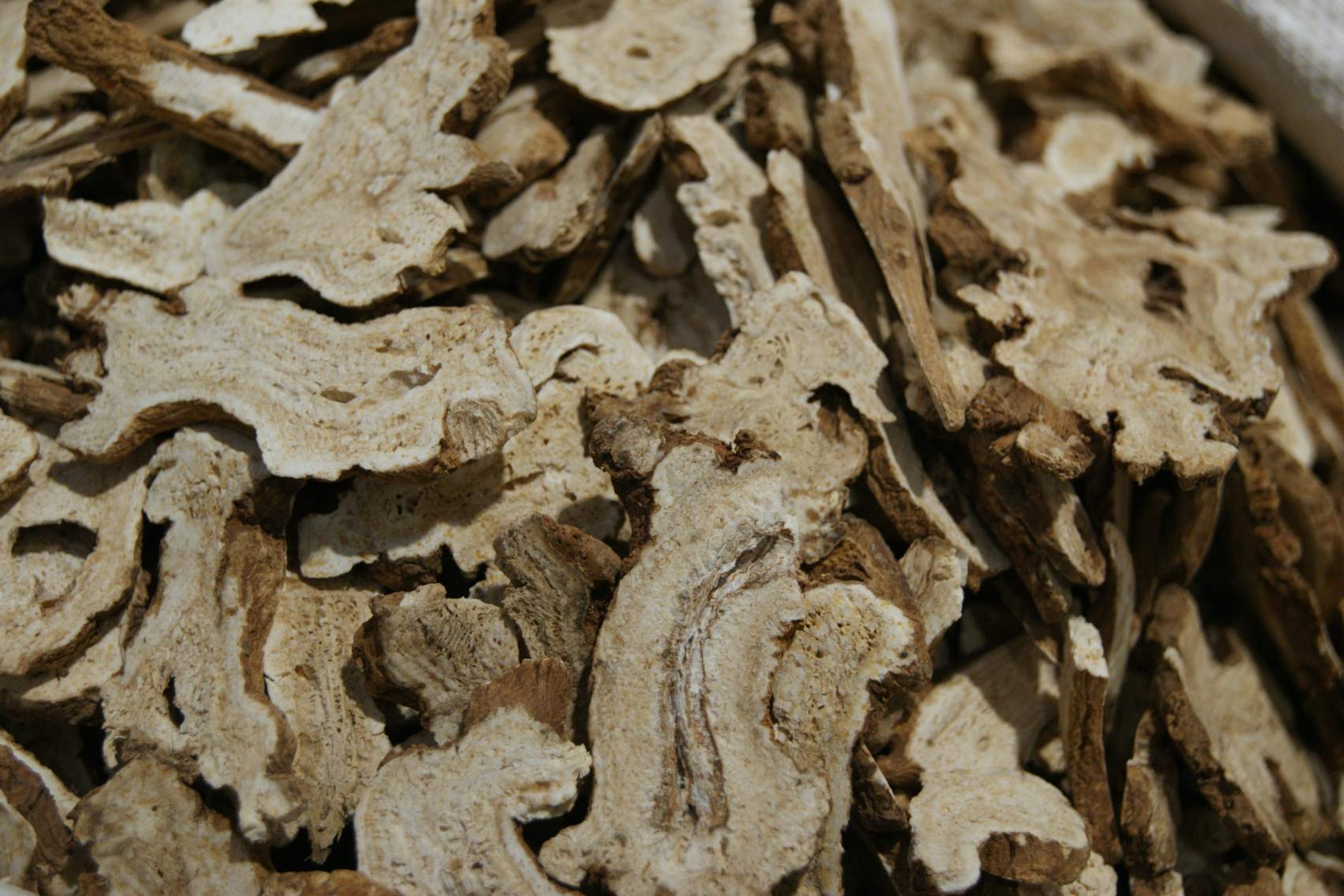 Atractylodes rhizome