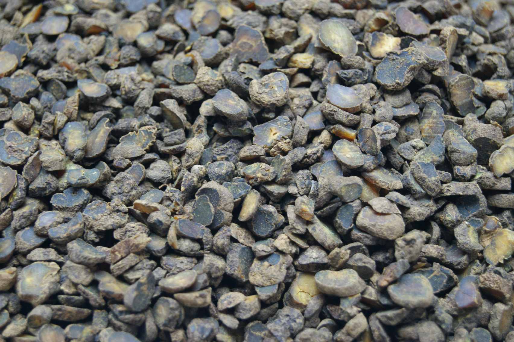 Corydalis Rhizome/Yanhusuo