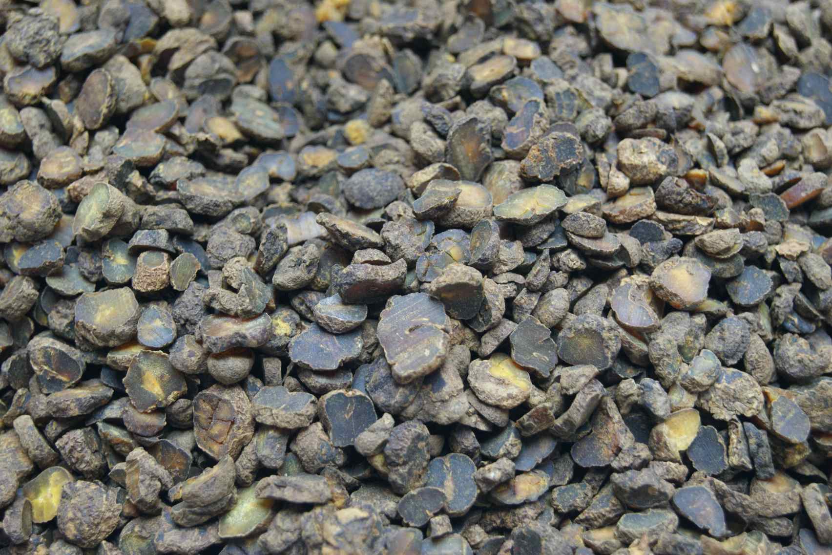 Corydalis Rhizome/Yanhusuo