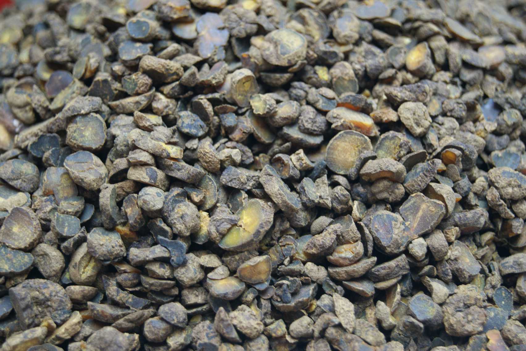 Corydalis Rhizome/Yanhusuo