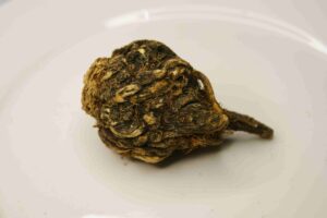 The Strength of Black Maca Nature's Strong Food with Unexpected Perks The Strength of Black Maca Nature's Strong Food with Unexpected Perks