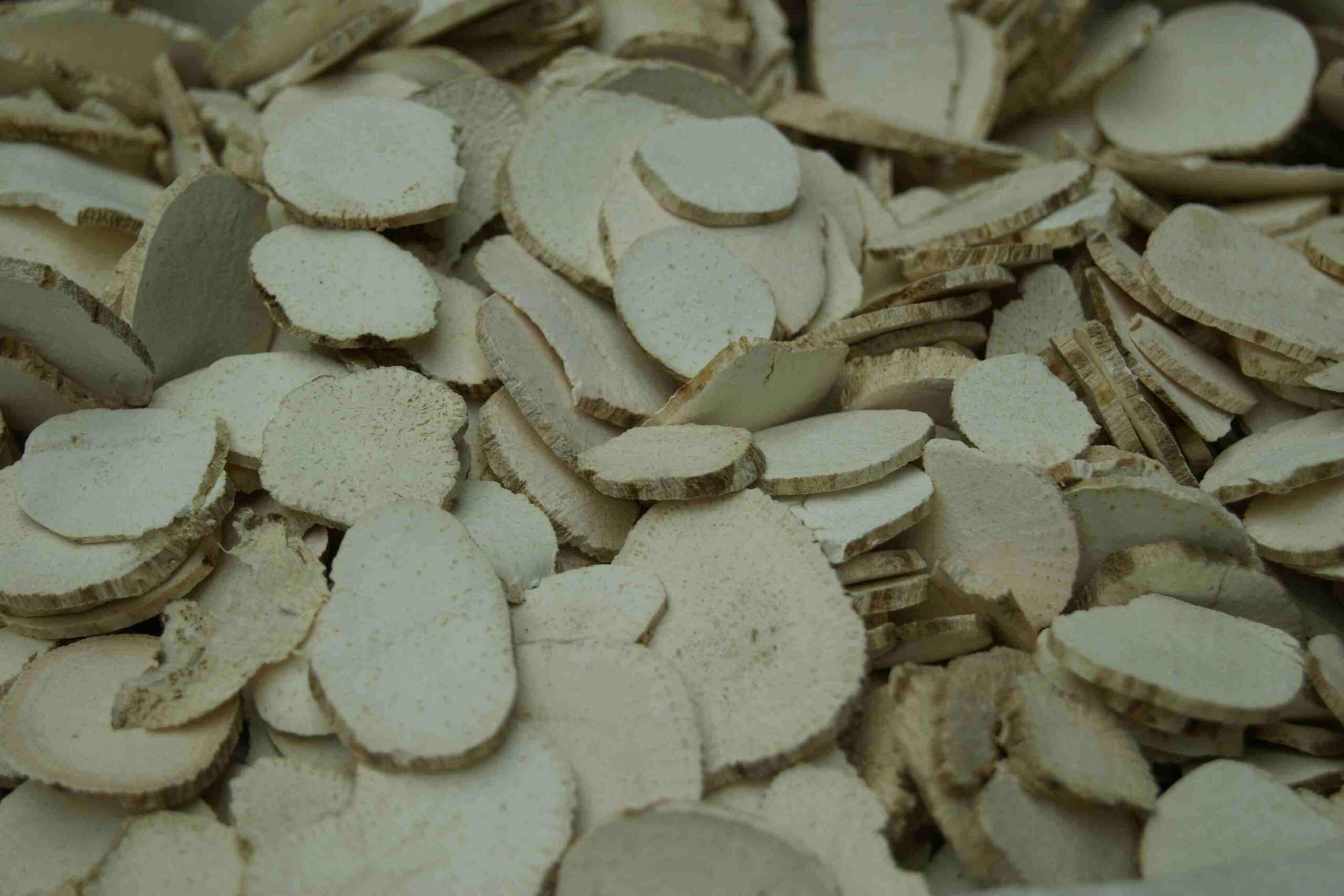 Trichosanthes Root