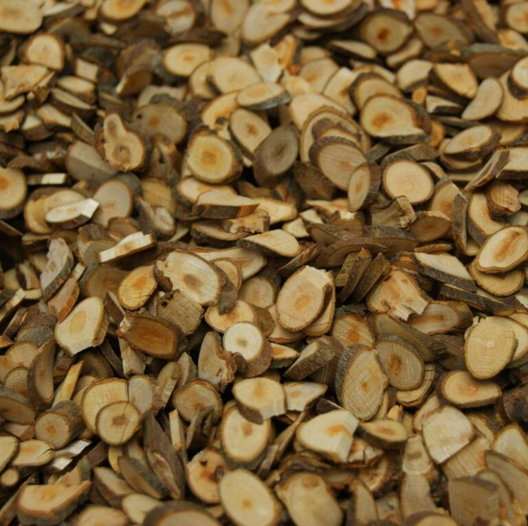 Cinnamon twig