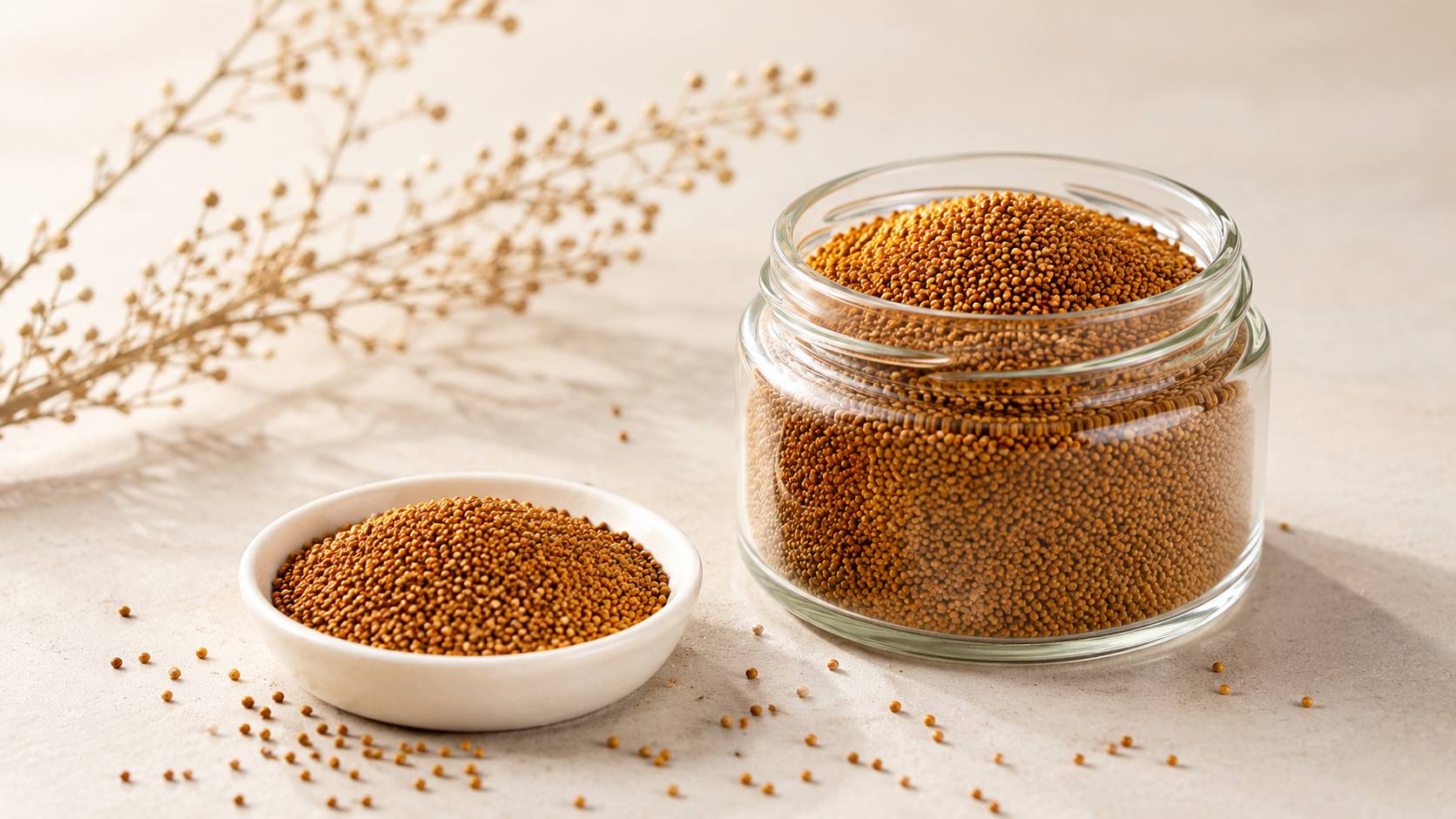 Dodder Seed