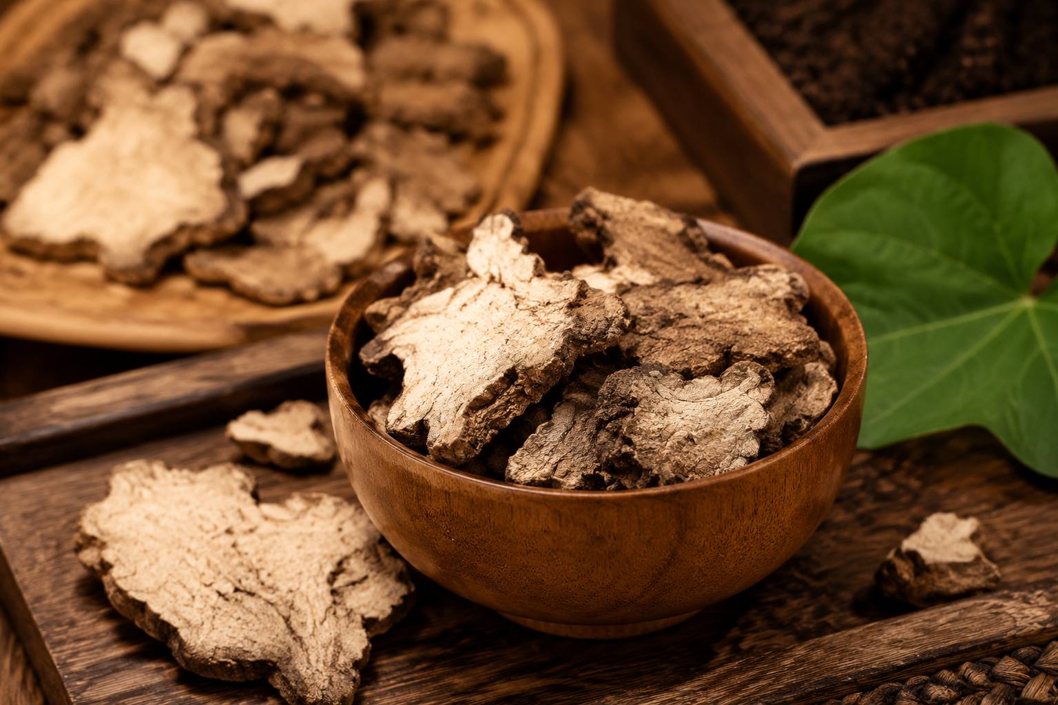 7 Proven Health Benefits of Zhu Ling: Traditional and Modern Insights 7 Proven Health Benefits of Zhu Ling: Traditional and Modern Insights