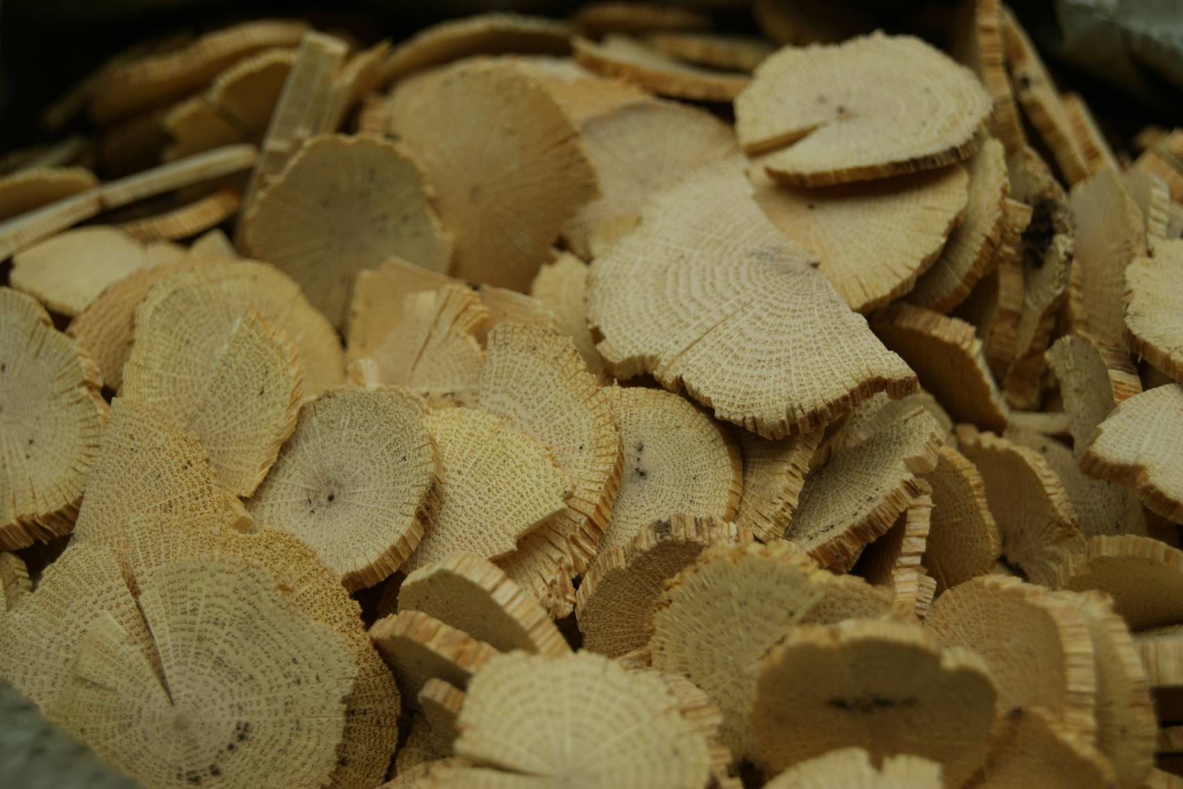 Akebiae Caulis