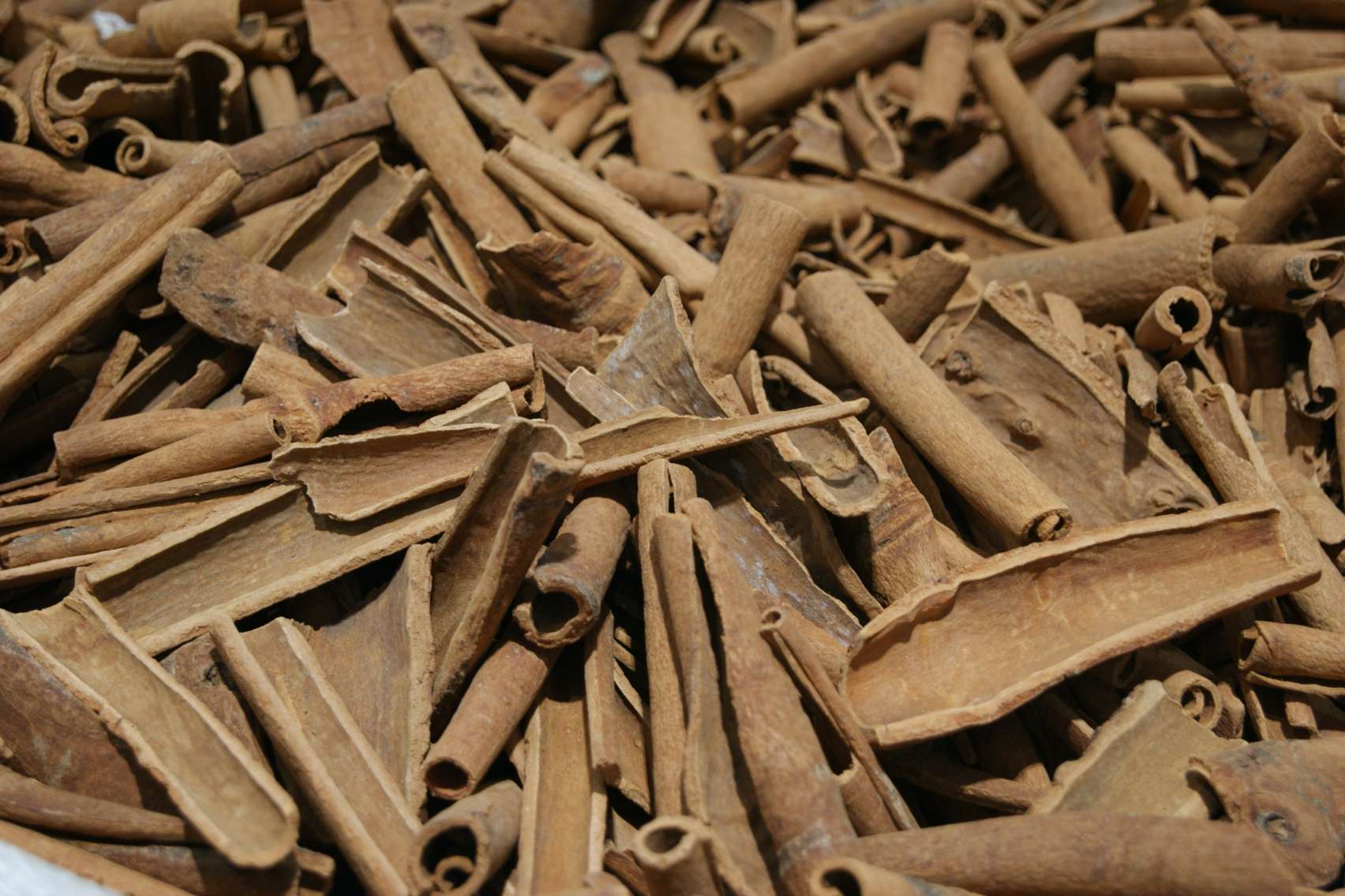 Cassia Bark