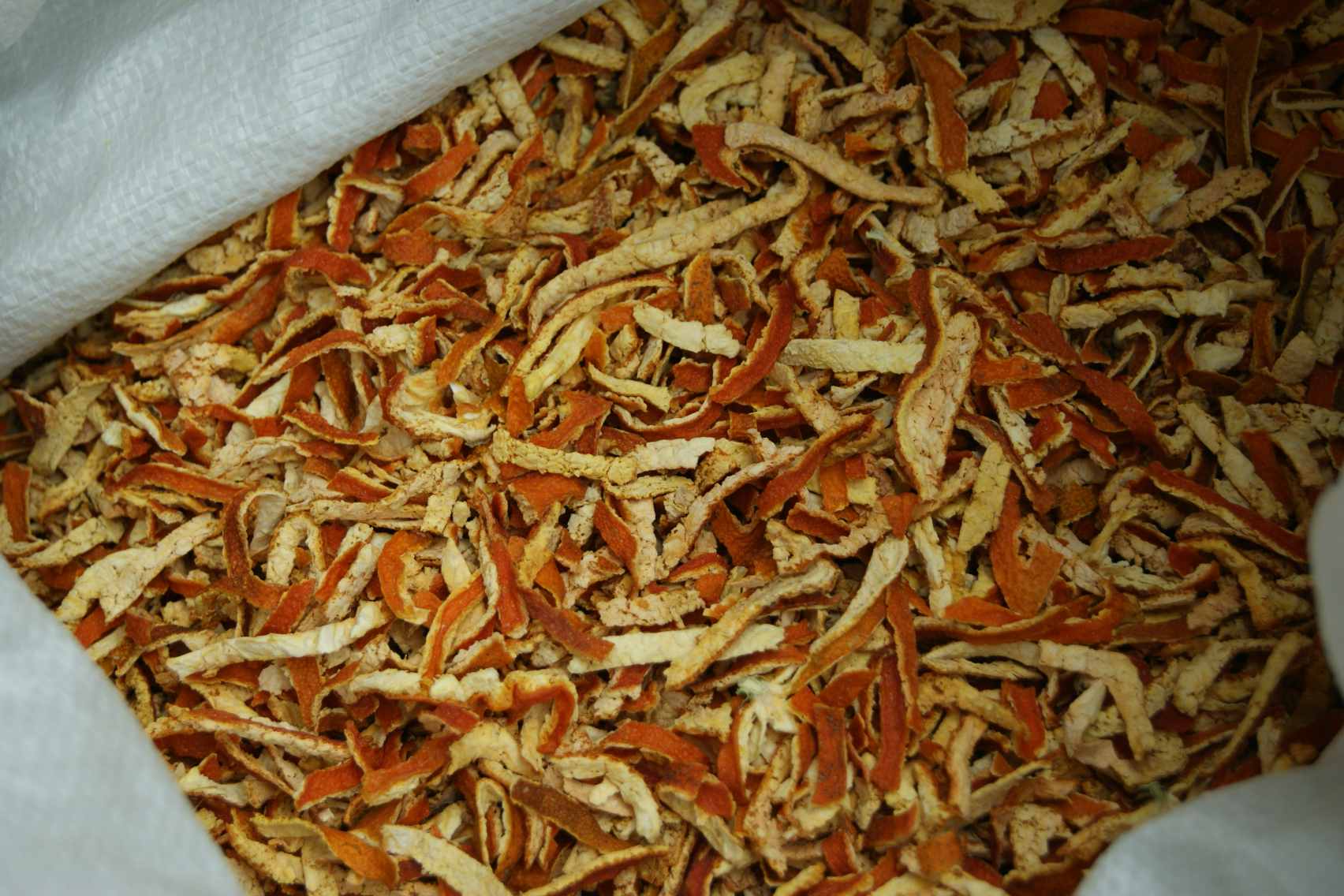 Chenpi