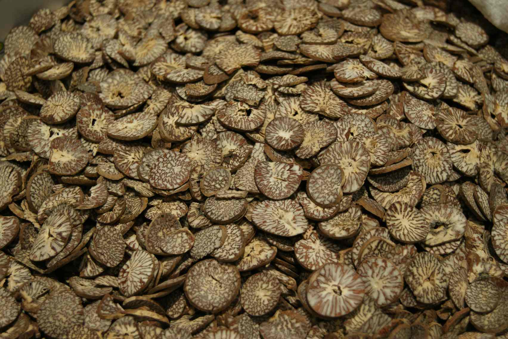 Areca Nut Chemistry Arecoline, Tannins and Polyphenols