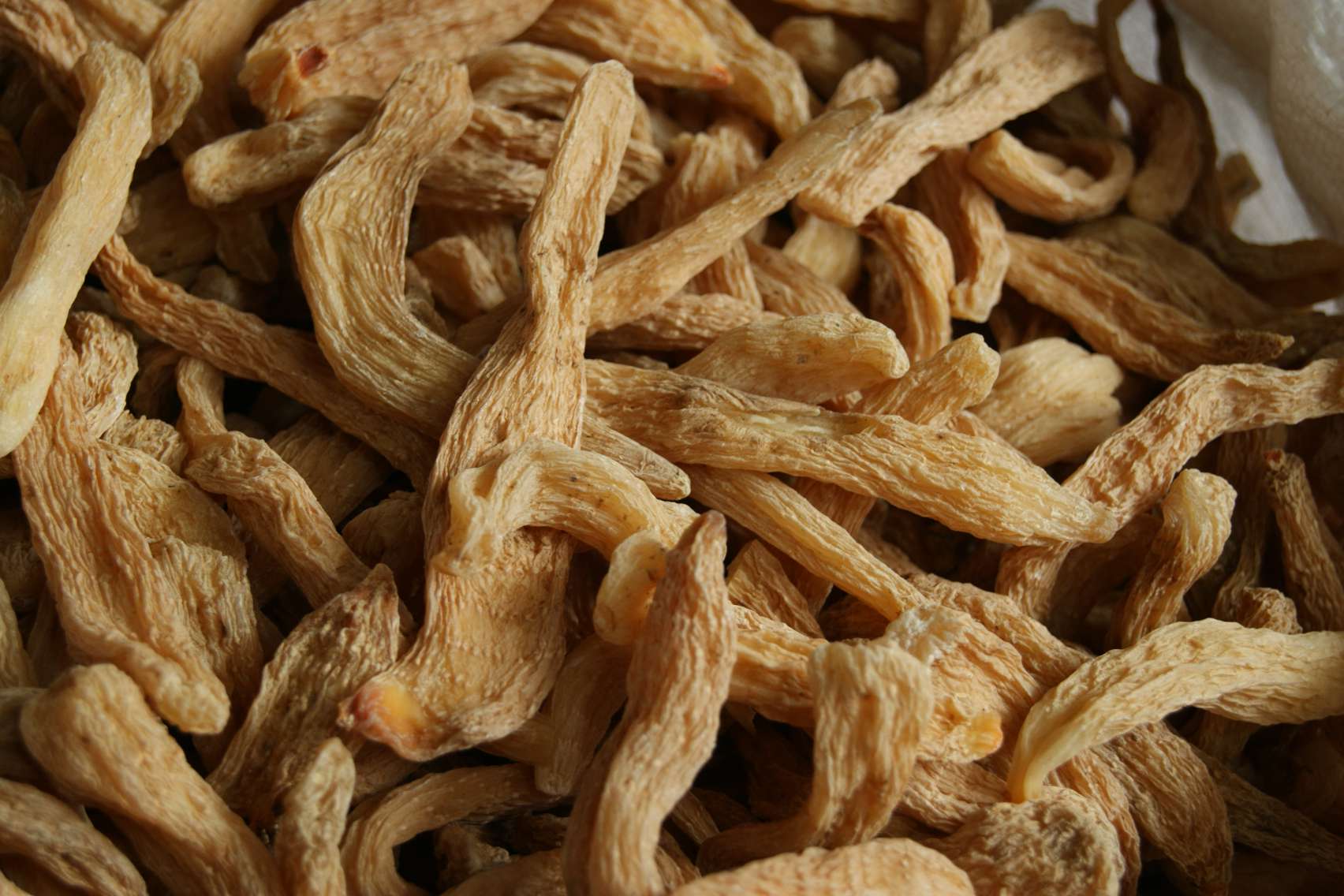 Good Gastrodia Tuber