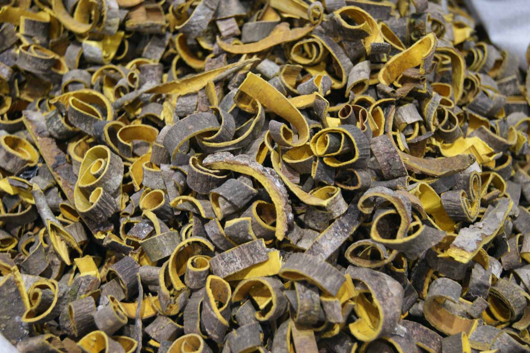 Phellodendron Bark Extract for Skin and Hair Formulas