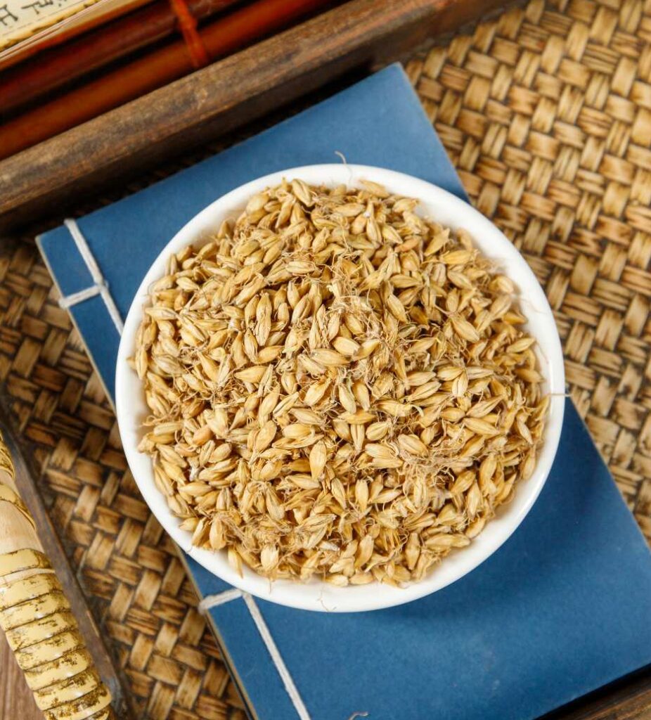 Barley Sprout Powder Nutrition A Practical Ingredient Guide