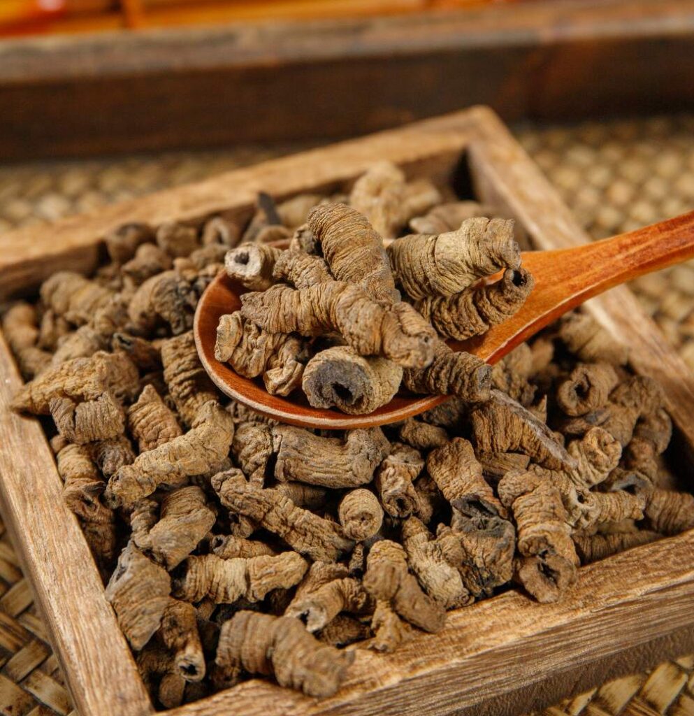 Salt-Processed Morinda Root From China’s Farms to Global Buyers